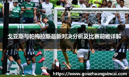 戈亚斯与帕梅拉斯最新对决分析及比赛前瞻详解